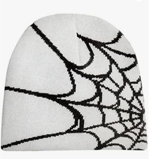 Spider Web Beanie