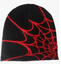 Spider Web Beanie